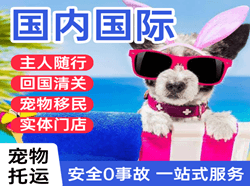 承德空运代理国际宠物托运 【国